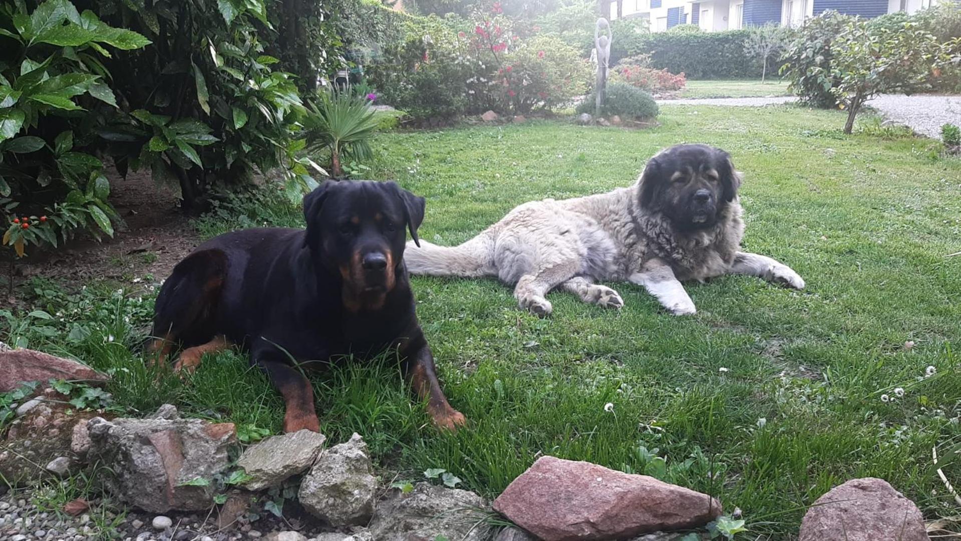 Invilla B&B Varese Luaran gambar
