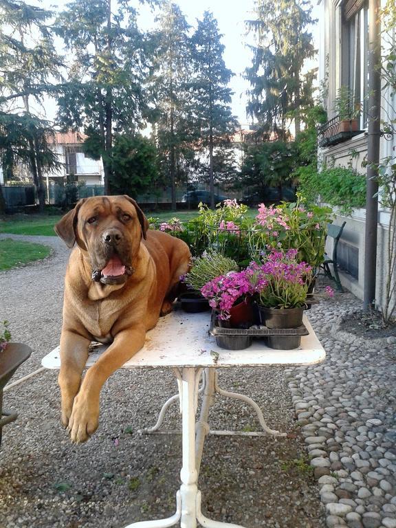 Invilla B&B Varese Luaran gambar